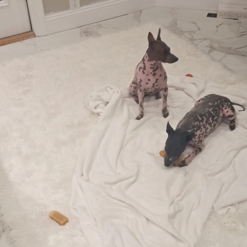 Water proof couch cover / play rug